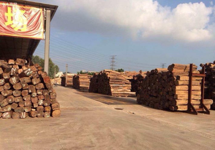 福建交通集团领导莅临莆头港口物流园区木材城指导工作