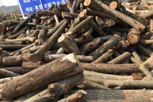 湖北地区,大量硬杂木原木出售批发