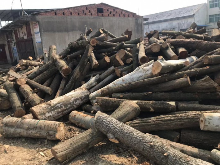 湖北地区,大量硬杂木原木出售批发