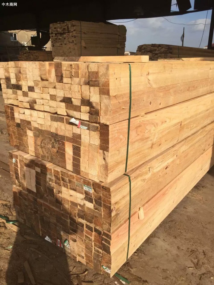 开封木板材建筑木方价格