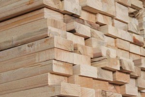 洛阳工地木方建筑木方价格一览表