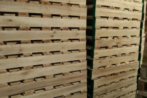 江苏常州开展木制品加工行业企业专项检查
