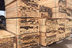 三门峡辐射松建筑工程木材,工地木方