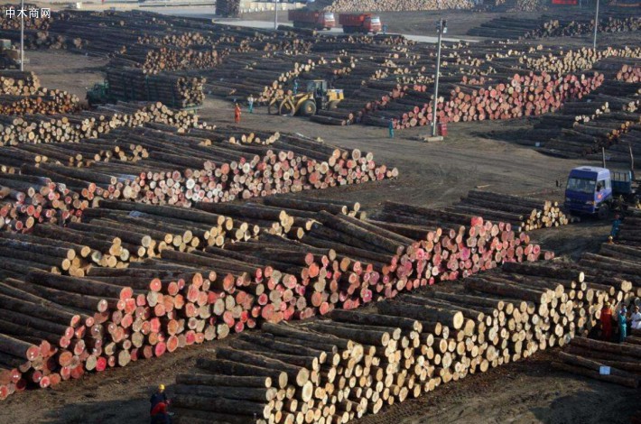 广西将取代临沂，成为新的＂木业之都＂？