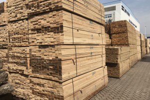 “木业之都”做强进口木材加工