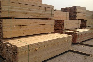 合肥建筑方木价格多少钱
