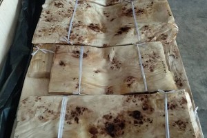 东莞白杨树榴木皮拼花工厂直销仅16元图3