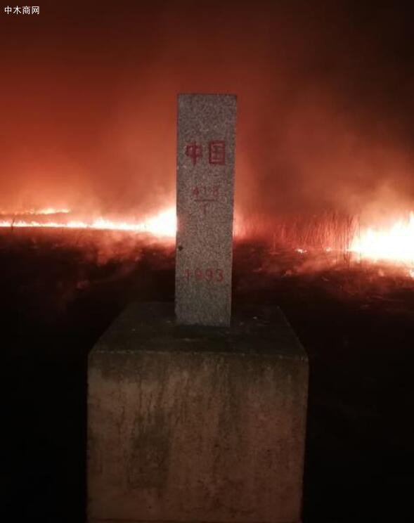 中俄边境森林火灾复燃并向我国蔓延 消防正在扑救