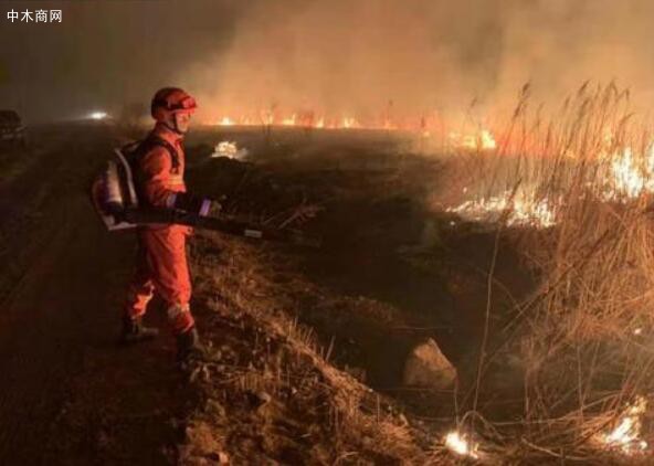 俄方境内发生森林火灾