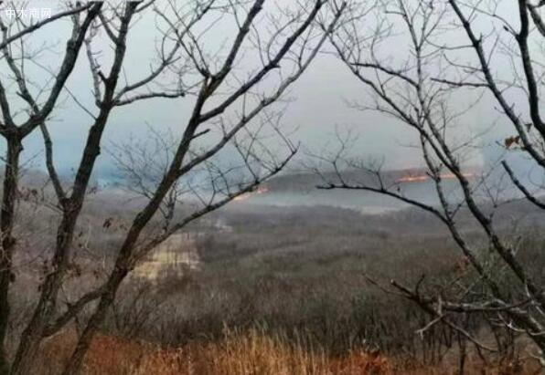 吉林省森林消防总队已调集295人向中俄边境线处火场实施增援