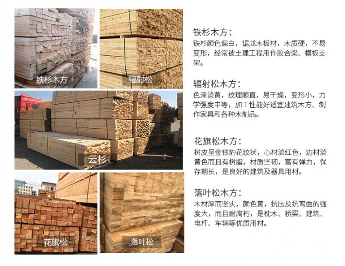 江苏沪兴木业有限公司是名和沪中集团旗下木材加工基地之一