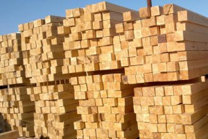 新乡建筑木方工程木方多少钱一方
