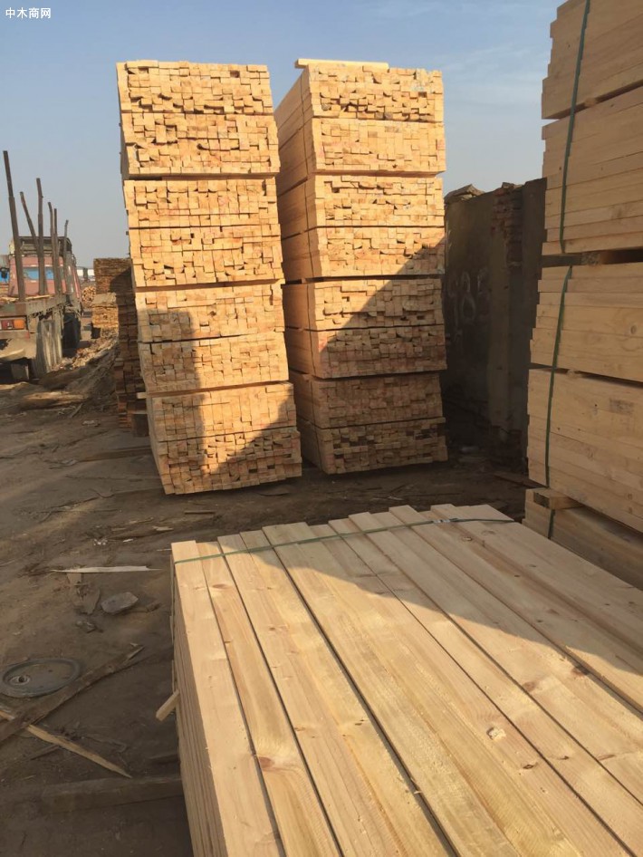 三门峡建筑工地木材-建筑木方