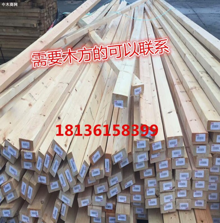 衢州建筑木方报价