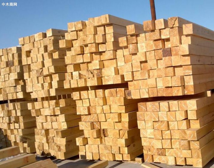 新乡建筑木方工程木方多少钱一方