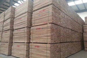 荣源木业长期供货非洲材，印尼材，俄罗斯材