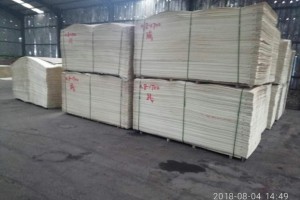 杨木漂白木皮厂家批发图3