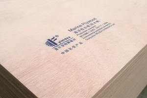 盈尔安 海洋胶合板 建筑模板 家具木材加工定制图3