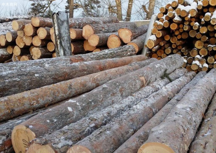 林场出具的采伐证书上的木材米数往往与实际林中的木材米数不相符