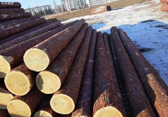 俄罗斯作为中国最大的木材供应国
