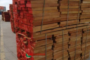 欧洲榉木直边板厂家批发