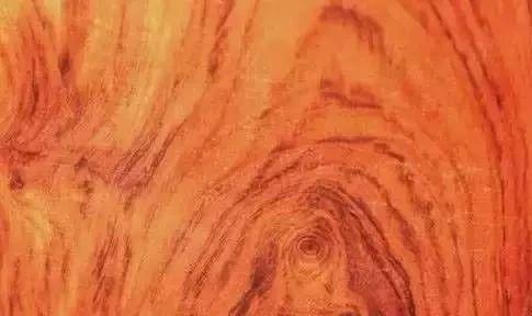 看纹识木——揭开名贵木材的面纱