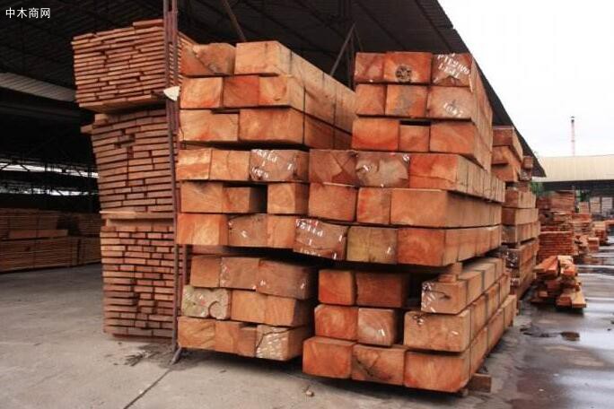 非洲加蓬木材长期供货