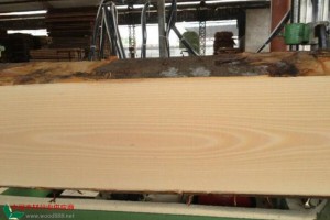 厂家直销水曲柳板材   进口水曲柳板材 规格按需定制