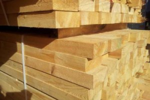 青岛工程木方木材加工厂图2