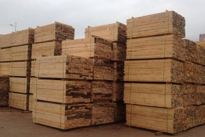 青岛工程木方木材加工厂图3