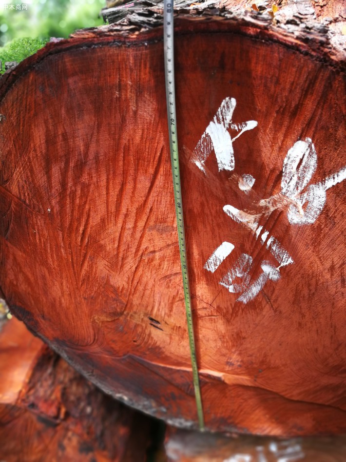 印尼柚木原木图片