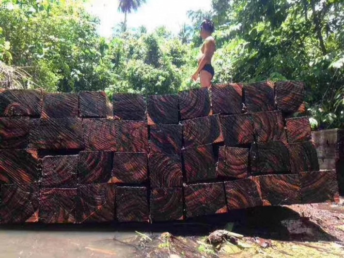 正宗印尼黑檀木板材高清图片