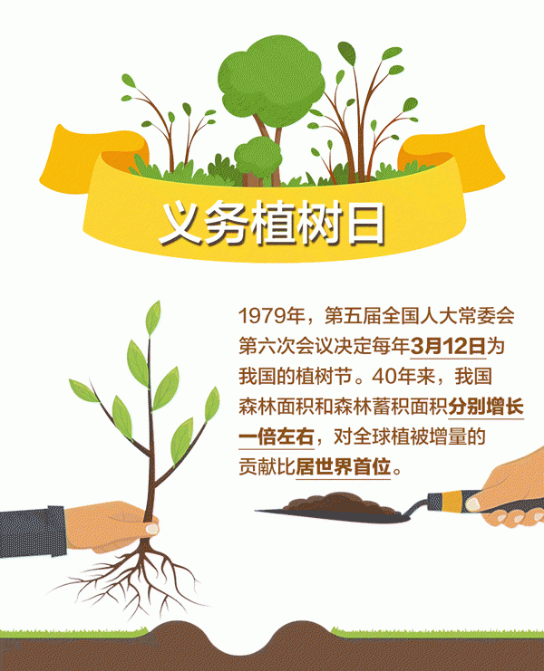 中国植树造林成绩单