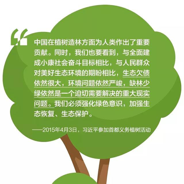 植树造林图片美图