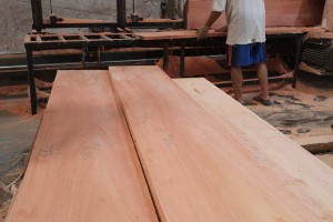 印尼桃花芯木板材厂家直销图2