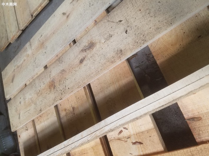 原木加工杉木松木建筑木方，板材
