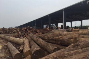 东莞木方厂销售家、东莞木方加工、东莞木方规格定制