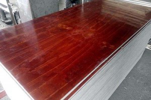 惠阳工地木方批发，大亚湾建筑木方厂家推荐，博罗工地模板价格图3