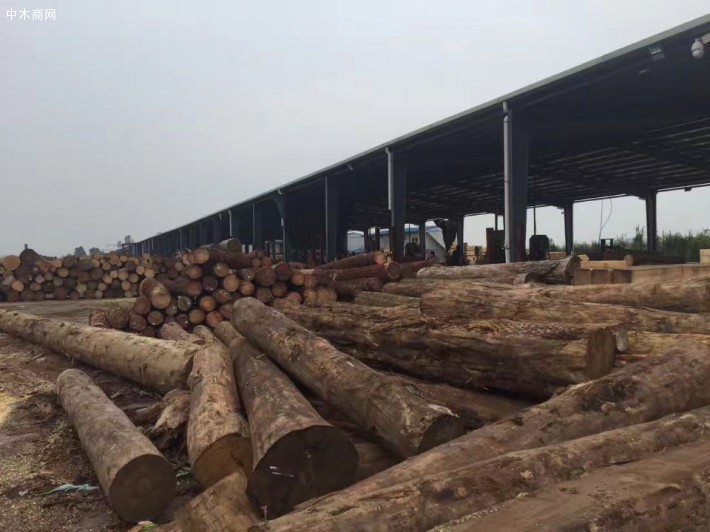 肇庆大旺木材加工厂，大旺建筑木方厂推荐，大旺建筑模板直销