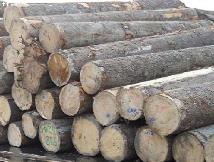 白俄罗斯将增加对中国的木材供应