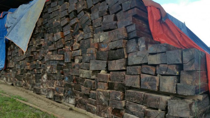 江西修水县截获非法运输木材10余立方米