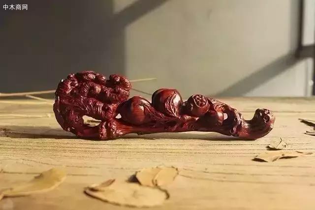 长寿富贵佛手瓜 