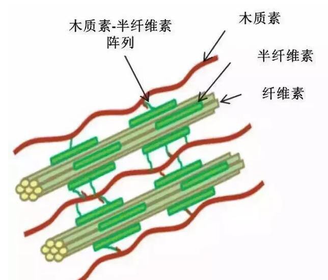 木材炭化的作用机理是在高温作用下