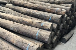 所罗门大叶紫檀原木价值图2