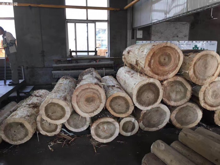 昆明3家木制品企业限期责令整改