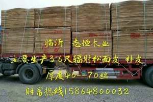 辐射松面皮图2