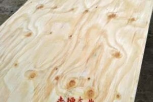 辐射松面皮图3
