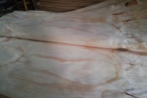 辐射松面皮4x8尺3x6尺20丝图3