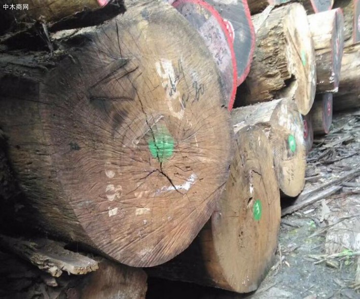 四川雅安天全一男子非法运输木材被查获