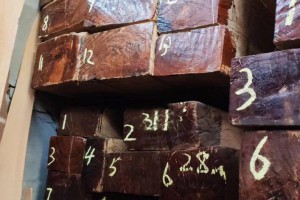 目前缅甸柚木板材的最低价是多少每立方？